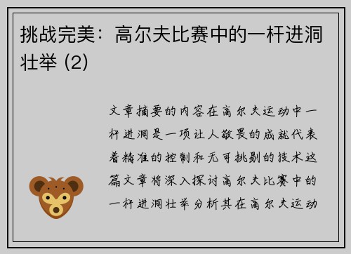 挑战完美：高尔夫比赛中的一杆进洞壮举 (2)